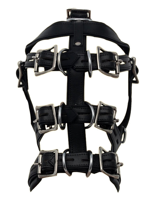 Bondage Muzzle Mask